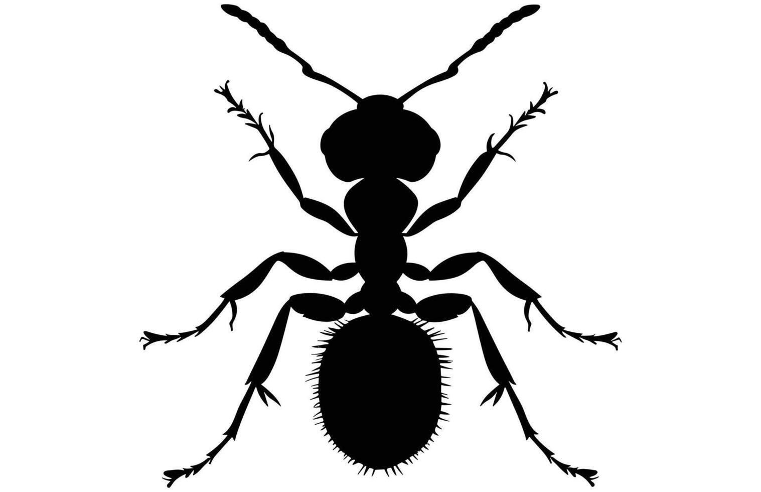 Cute Ant Silhouette - Simple Insect Stock Design vector