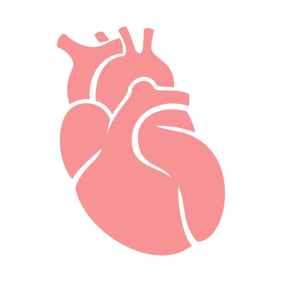 simple human heart icon isolated vector
