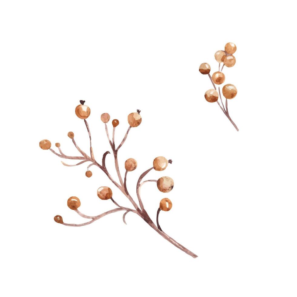 Branches with Winter Berries. Botanical Watercolor illustration isolated on a white background. Design elements for Christmas and New Year cards, prints and ornaments. vector