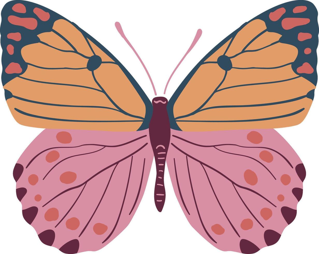 Graceful Butterfly with Wide Wings Spread vector