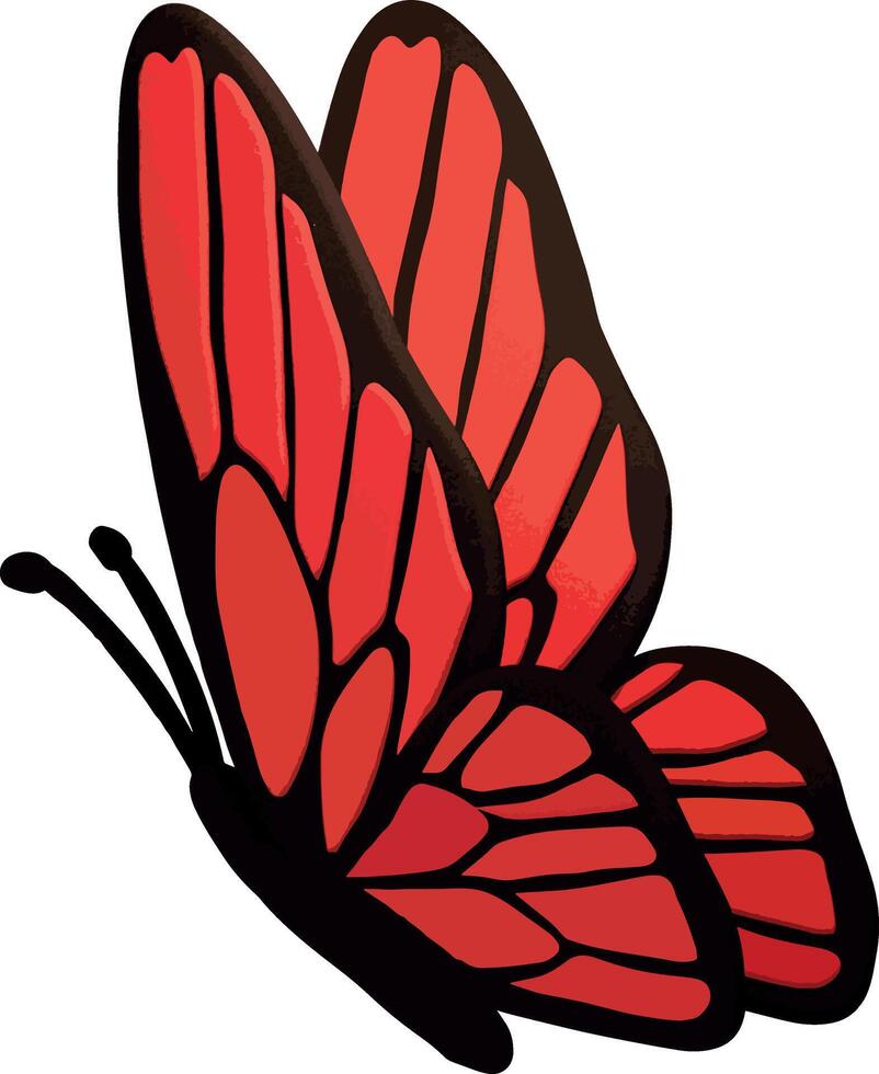 Broad-Winged Butterfly for Unique Designs vector