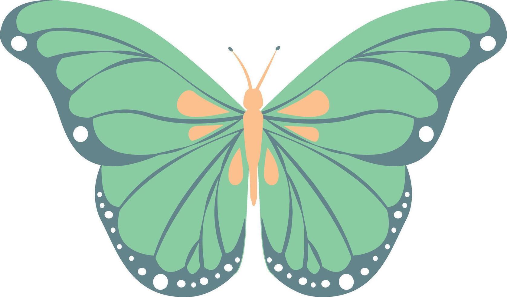 Stylized Butterfly with Wide, Spanning Wings vector