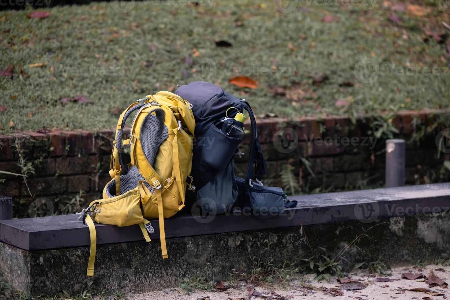 Two hiking backpacks lie on a bench during a nature trip. photo