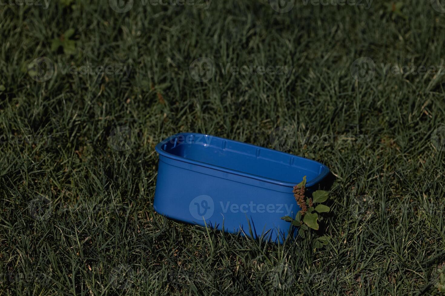 Reusable food container with you saves the environment. Environmental Protection. photo
