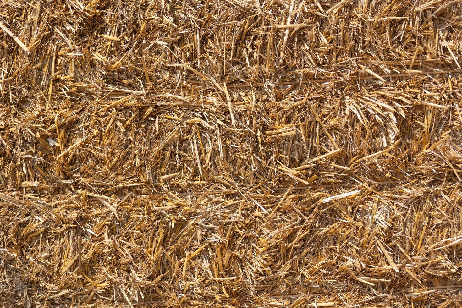 Hay in a bale, background or texture photo