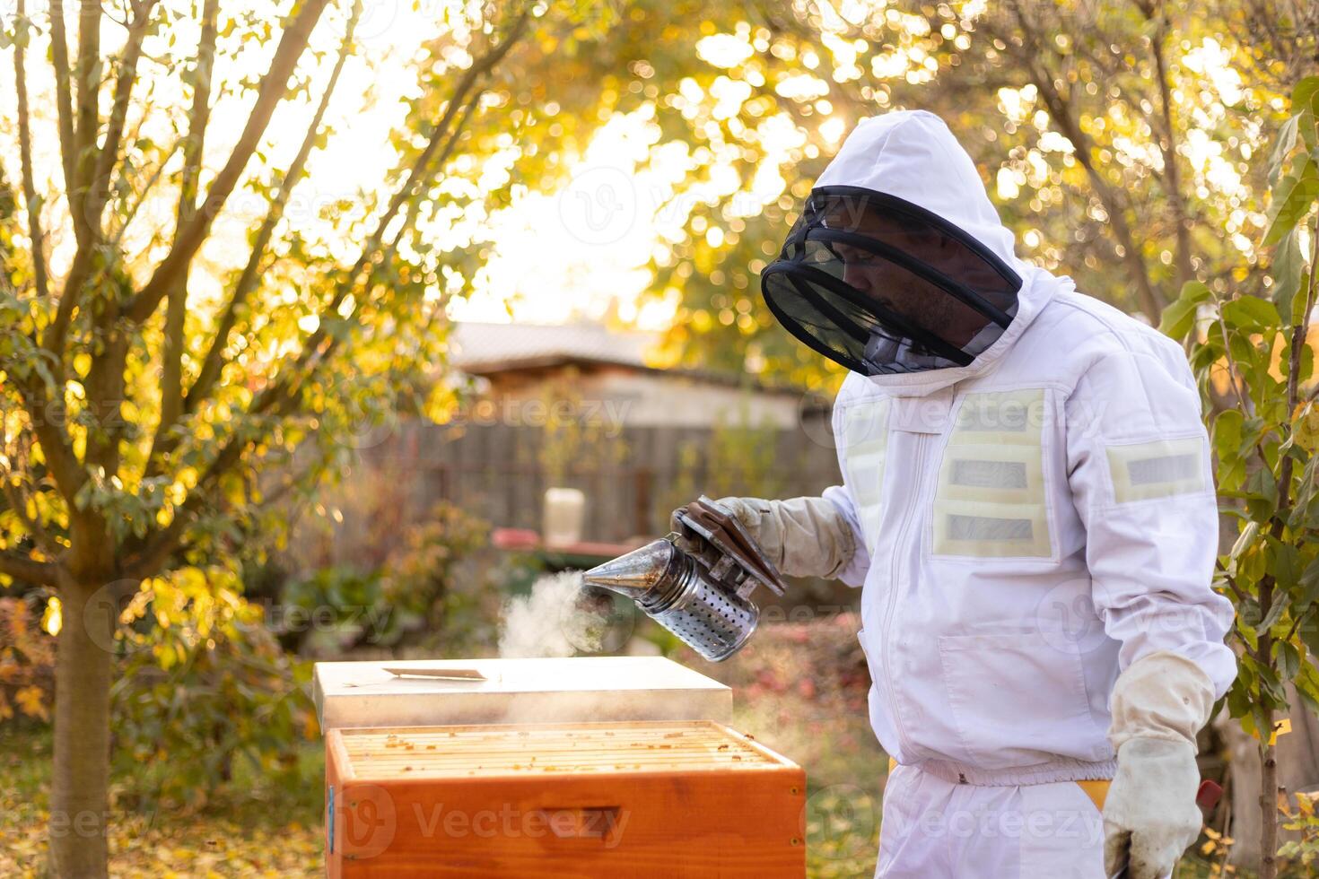 Bee smoker with apiarist with professional equipment working taking care in his apiary on the bee farm, beekeeping concept photo