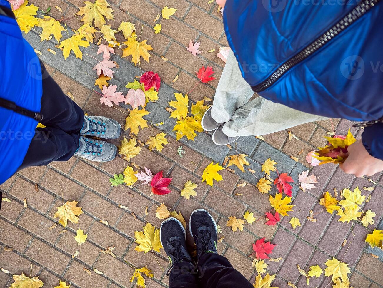 Three people standing on an autumn sidewalk strewn with yellow leaves photo