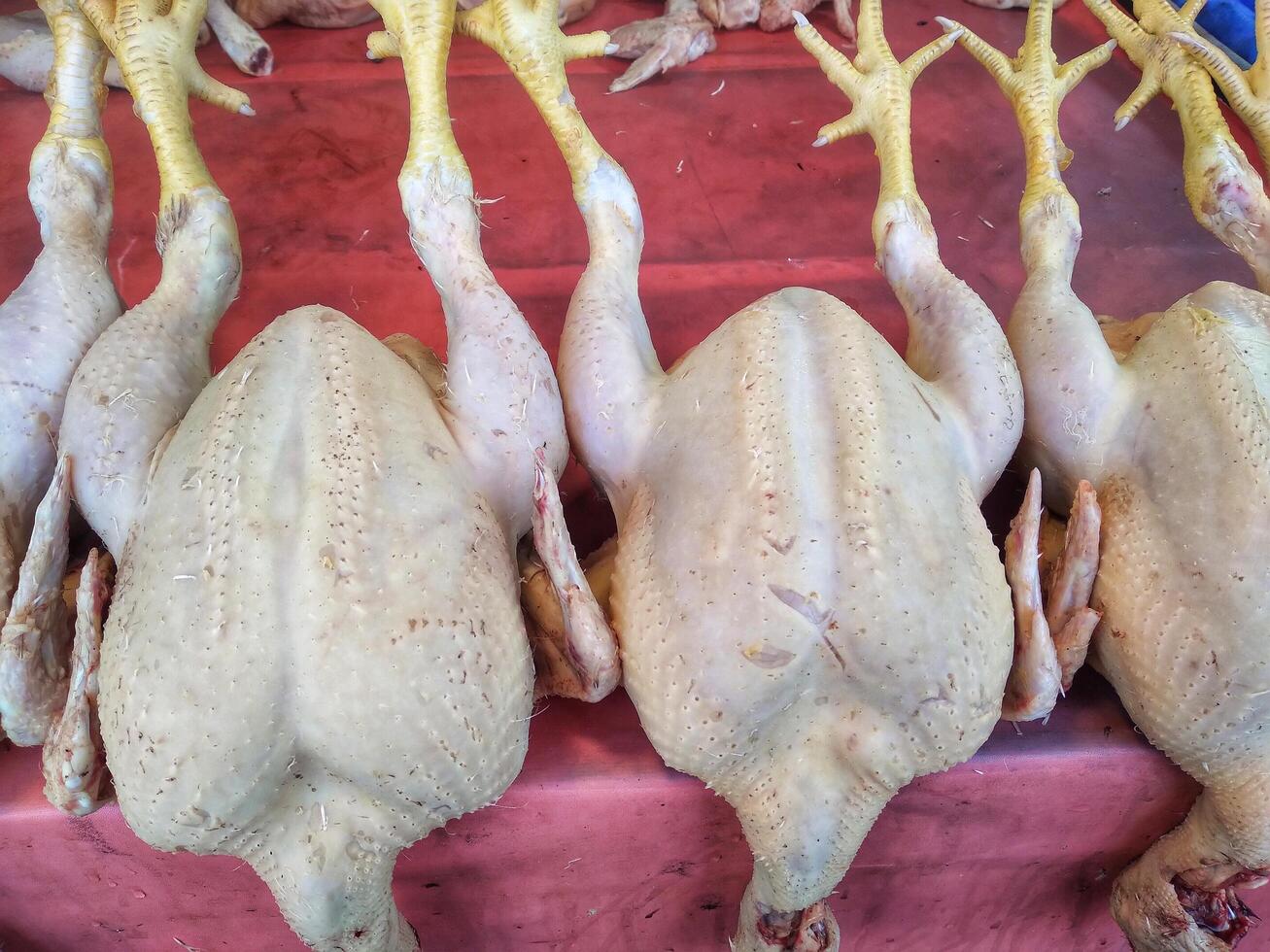 Raw chicken is sold in traditional markets photo