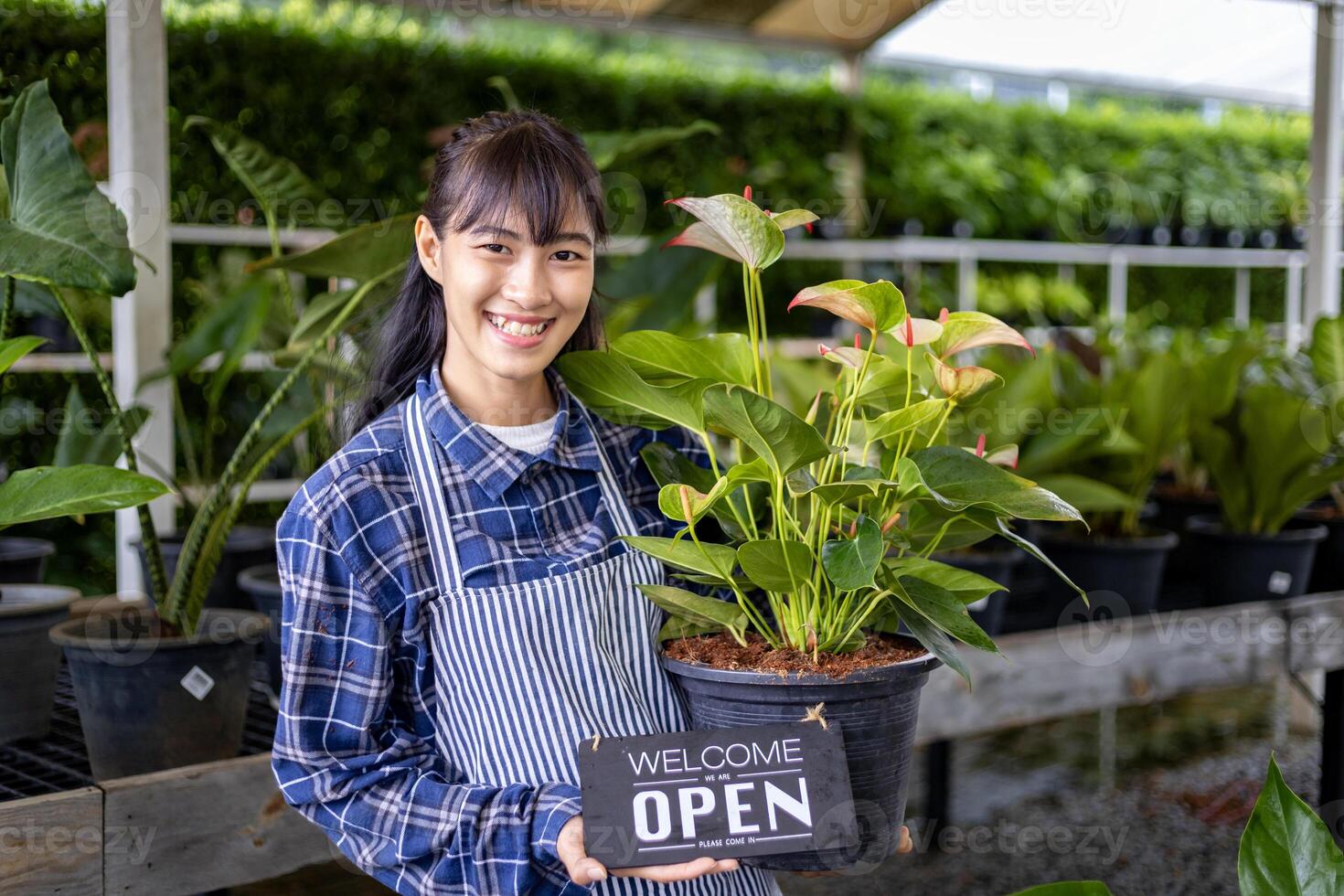 Asian gardener is holding open sign in front of her ornamental houseplant at their own nursery garden center full of exotic and tropical plant concept photo