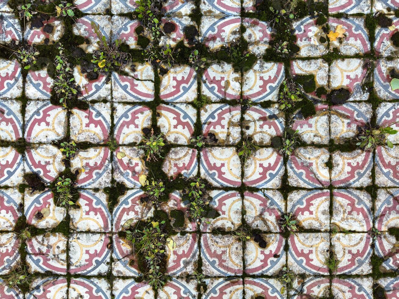 A close-up of an aged, patterned tile pathway partially covered with patches of moss and small plants emerging from cracks. The intricate red and yellow designs on the worn tiles are faded yet reveal photo
