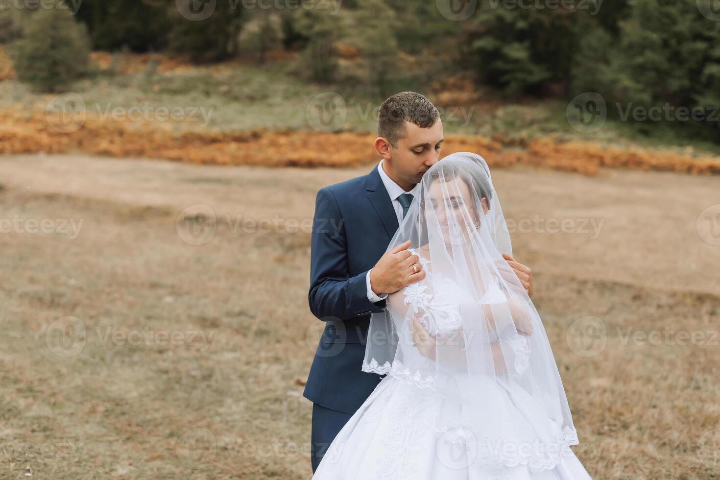 A bride and groom are standing in a field, with the bride wearing a veil photo