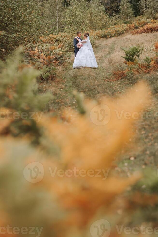 A bride and groom are standing in a field with a beautiful backdrop of trees photo