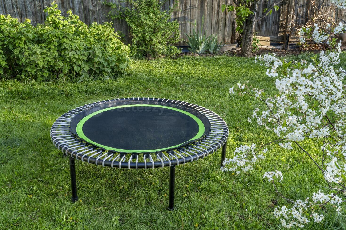 mini trampoline for fitness exercising and rebounding in a backyard, spring scenery with cherry tree in blossom photo
