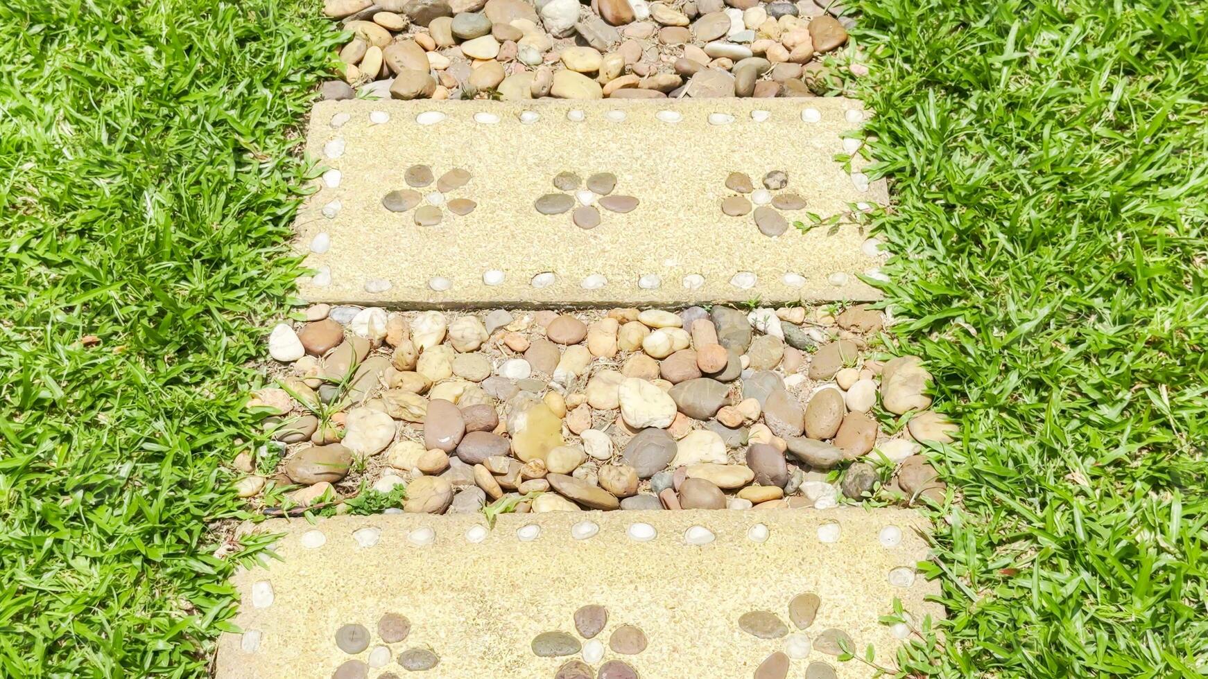 Stepping stones adorned with pebbles form quaint pathway across a lush green lawn photo