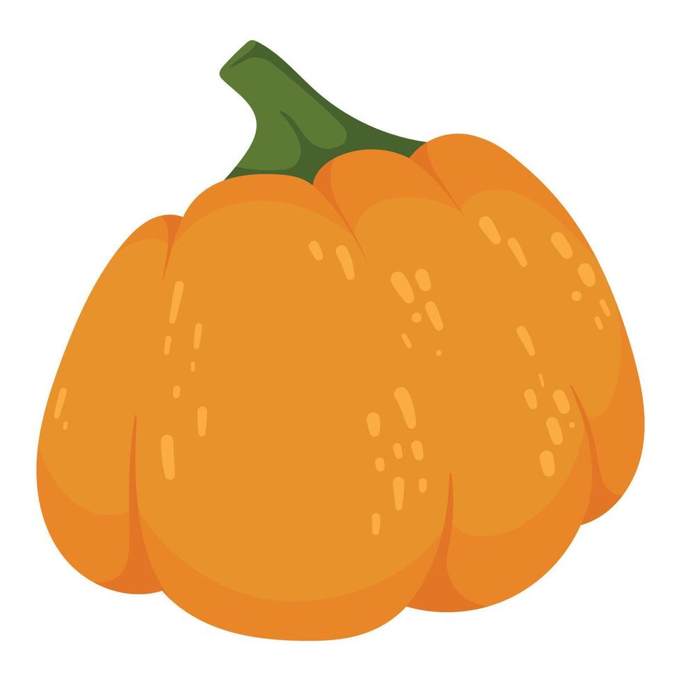 Decorative autumn orange pumpkin isolated on white background. Fall harvest gourds. Element for autumn decorative design, Halloween, Thanksgiving invitation vector