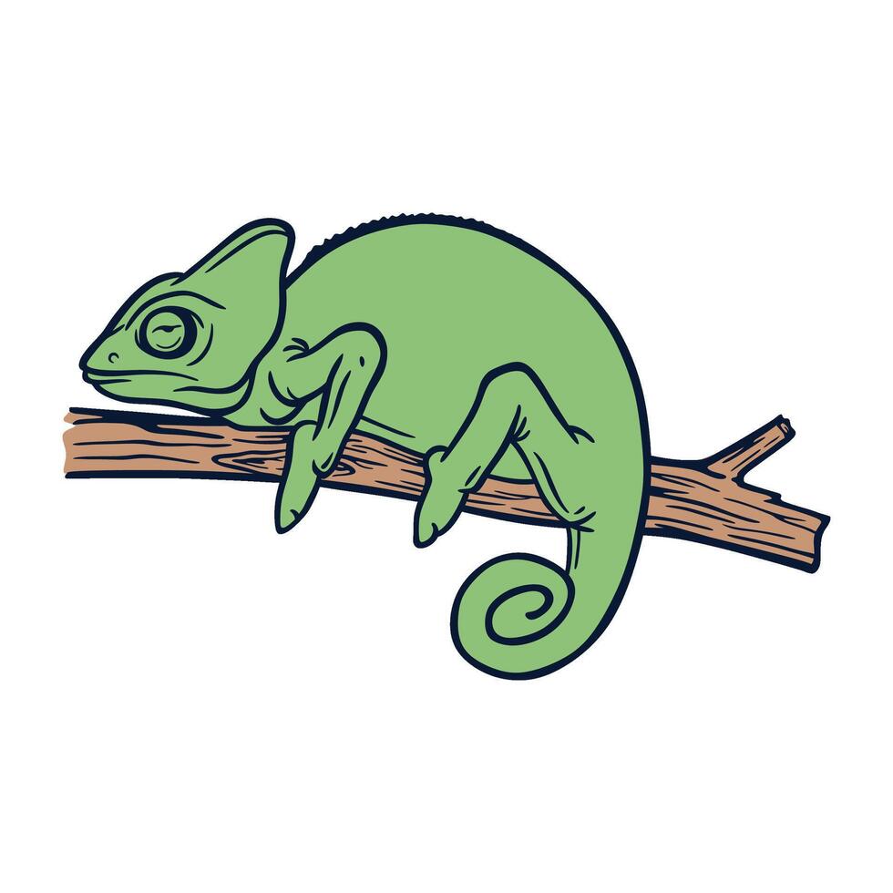 Chameleon Resting on Wood vector
