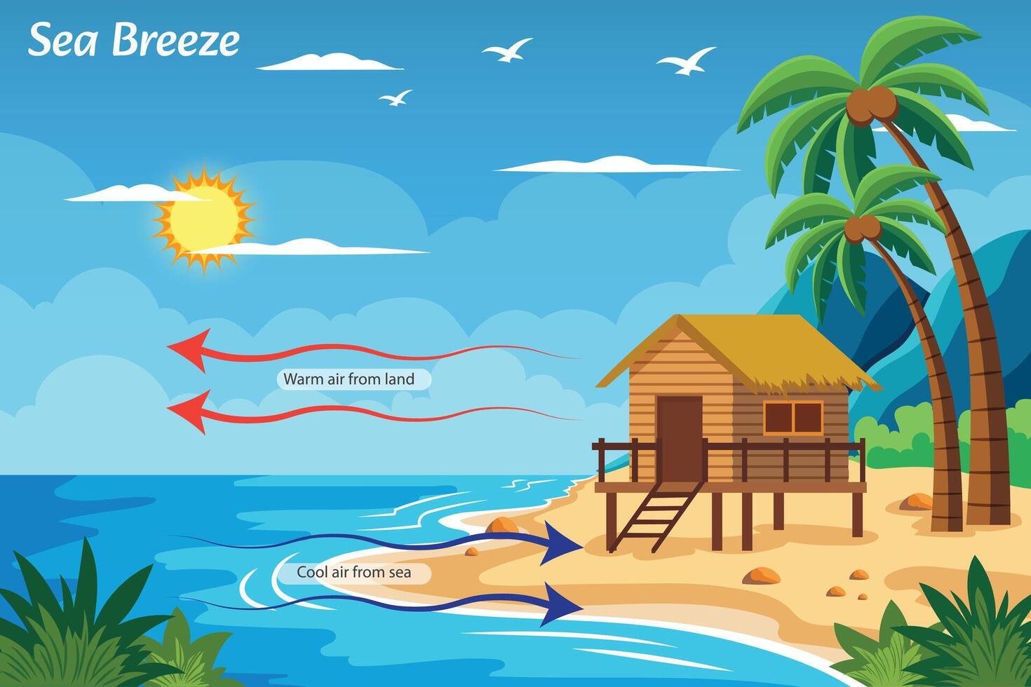 Sea Breeze Daytime Coastal Winds Blowing from Sea to Land vector