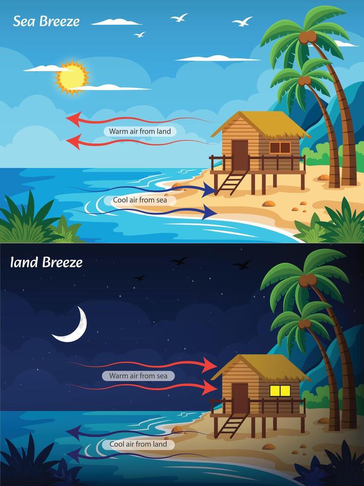 Land and Sea Breeze Understanding Coastal Wind Patterns and Temperature Differences vector