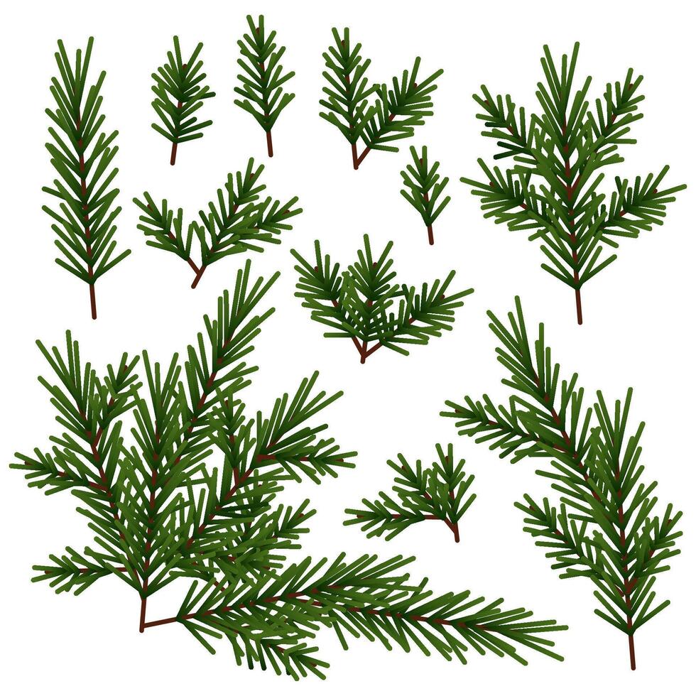 Set of different green Christmas tree branches vector