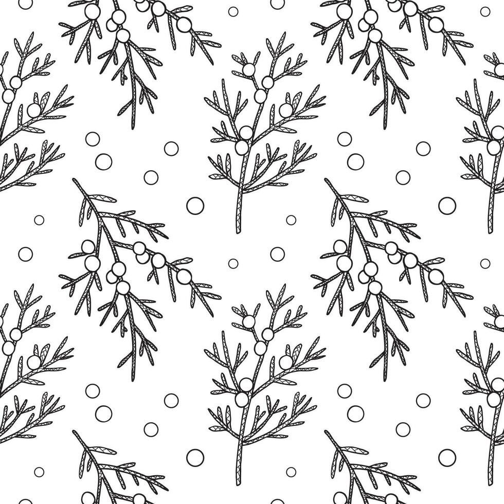 Seamless pattern with Juniper branches and berries. Hand drawn Repeating background with heather plants and fruits. Food, medicine ingredient. Design for print, textile, paper, card, label vector