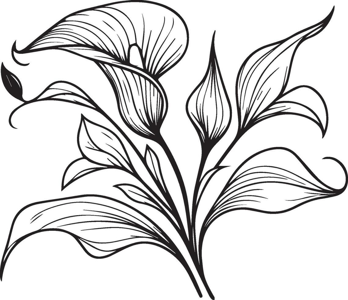 Set of a decorative stylized calla flower isolated on a white background. Highly detailed illustration, doodling and zentangle style, tattoo design blossom calla line drawing vector