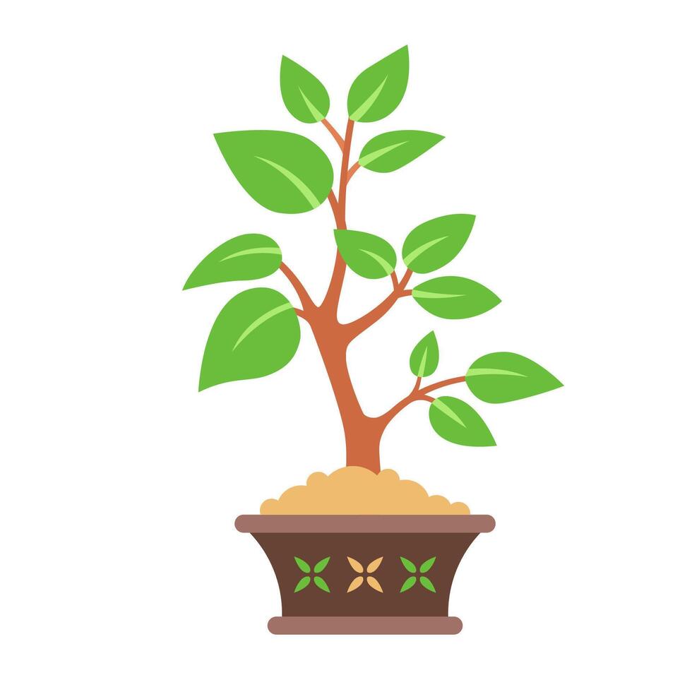 Bonsai tree in a pot. vector