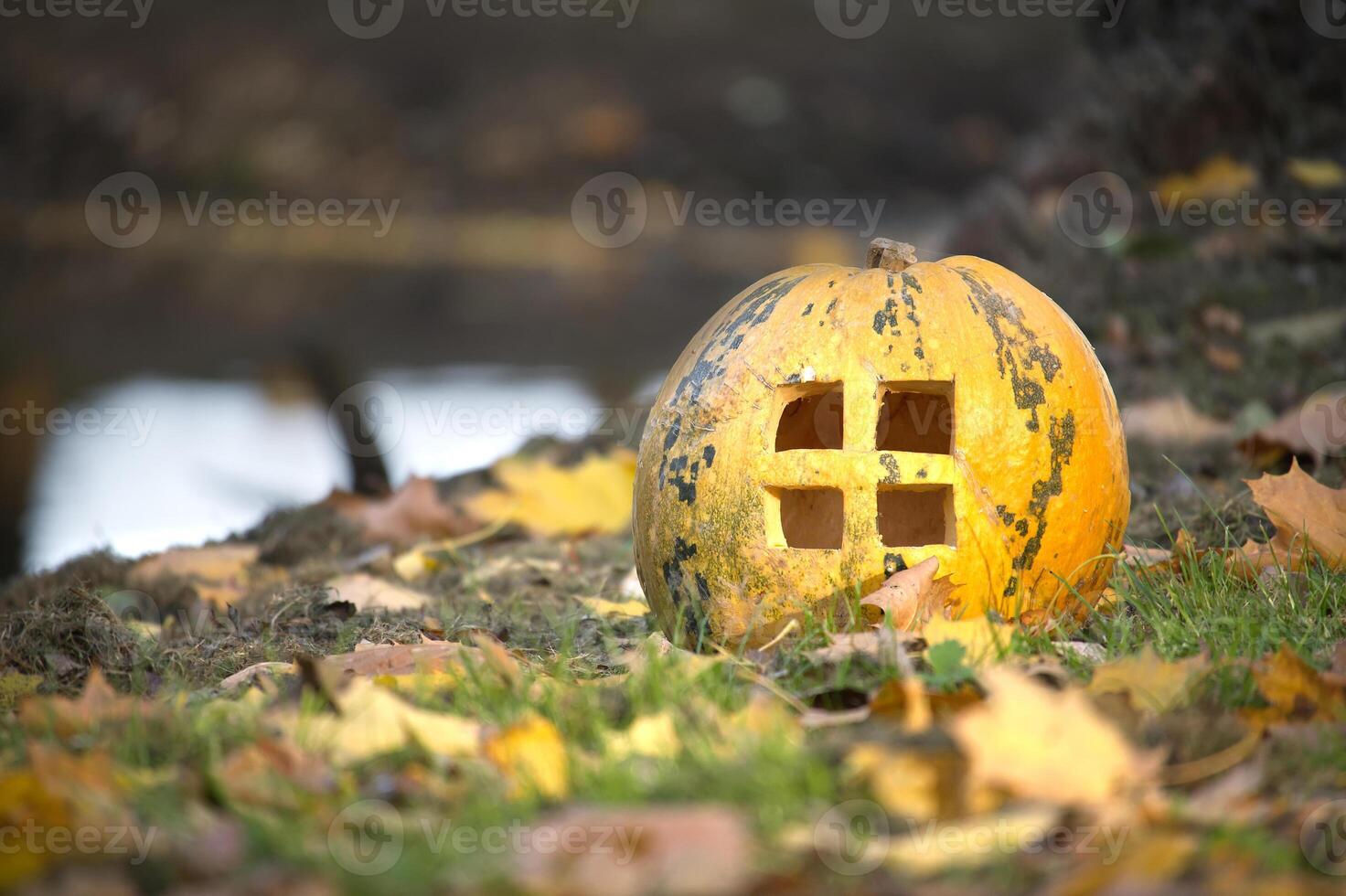 Autumn Scene with Carved Pumpkin in Natural Setting photo