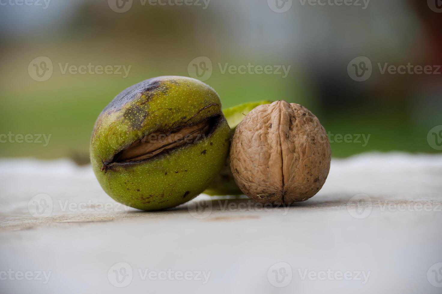Closeup of fresh walnut and seeds on a textured surface in natural light for autumn harvest concept photo