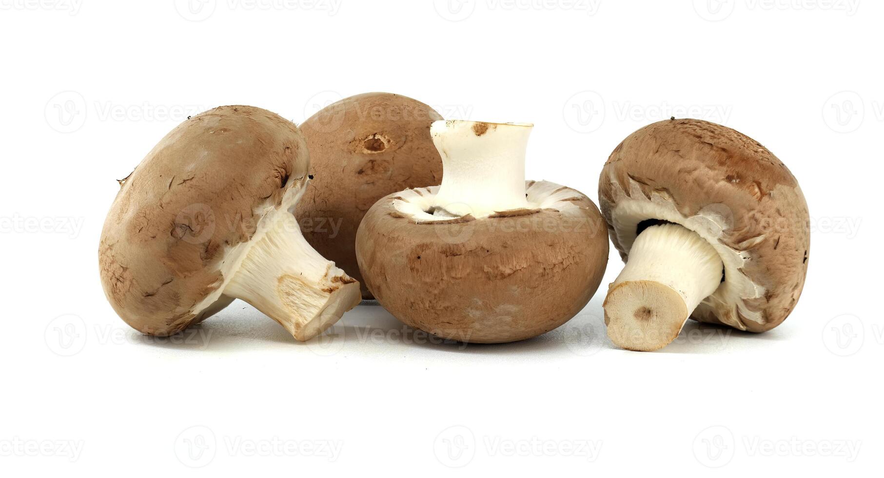 Close-up view of fresh baby bella mushrooms on a white background highlighting their organic texture photo