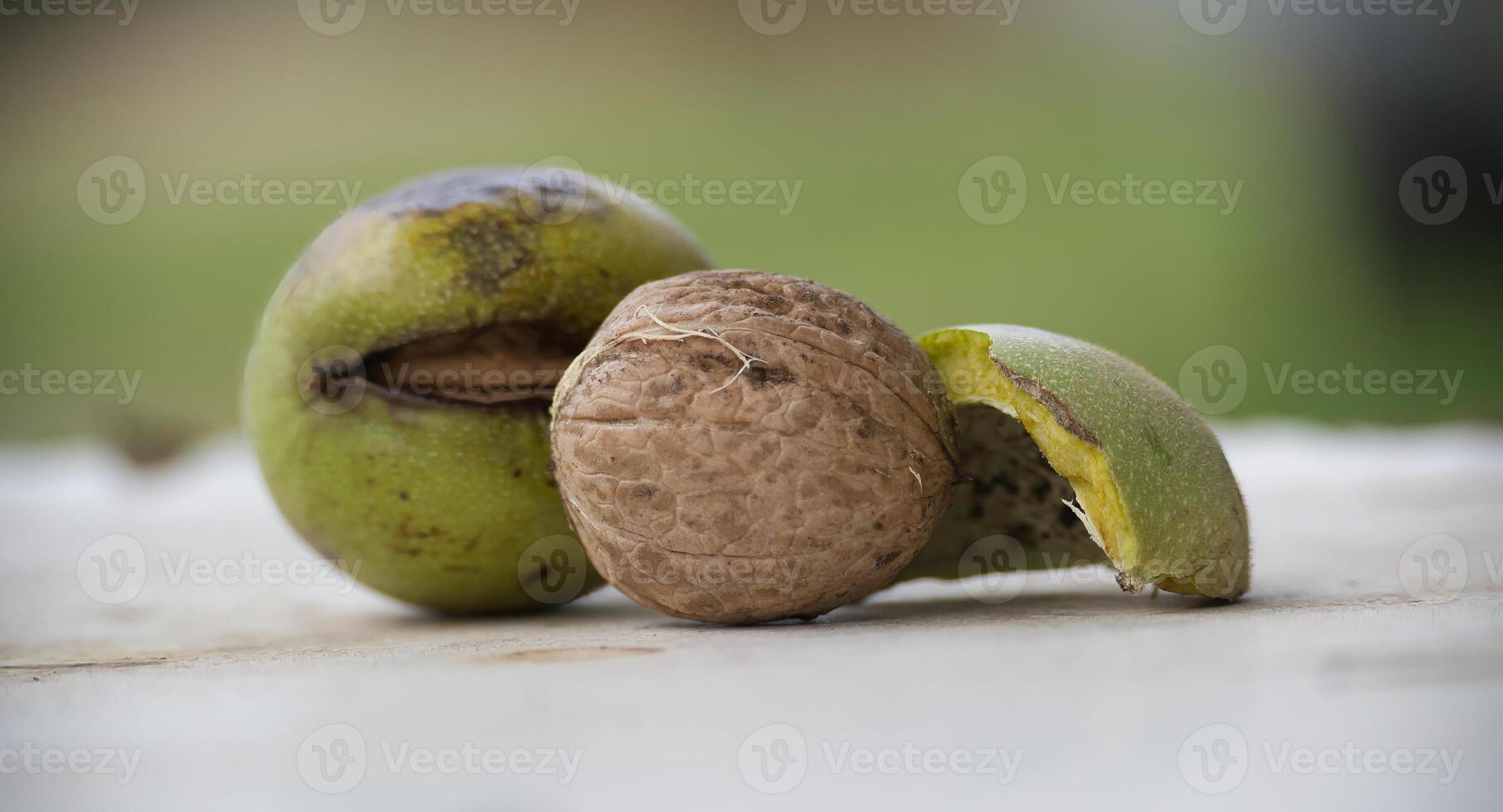 Closeup of fresh walnut inside green husk over blurred natural background photo