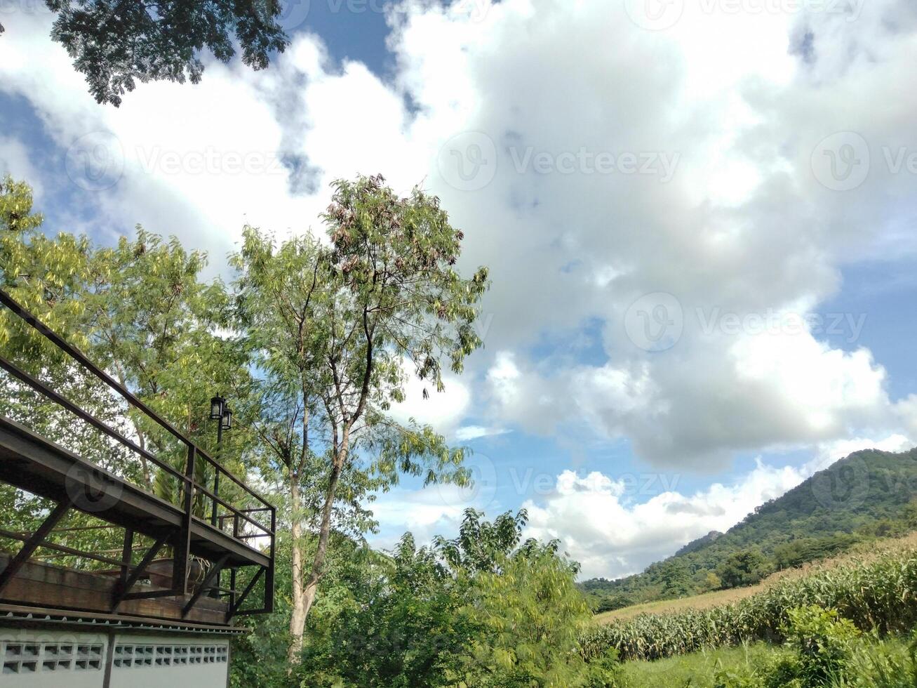 Tranquil View with Rolling Hills and Blue Sky photo