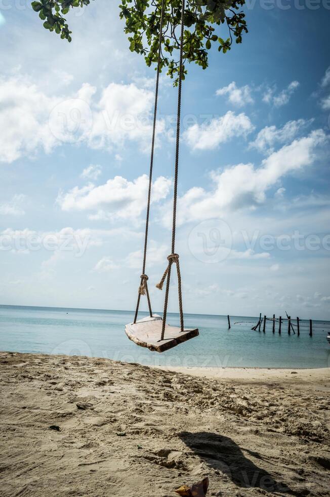 A swing hanging from a tree on a beach photo