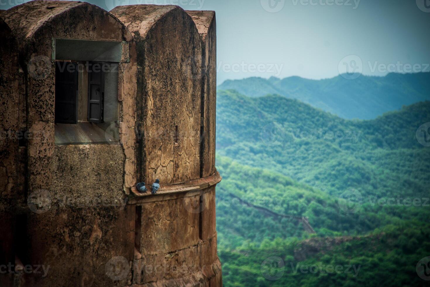 A bird perched on a window on a tower photo