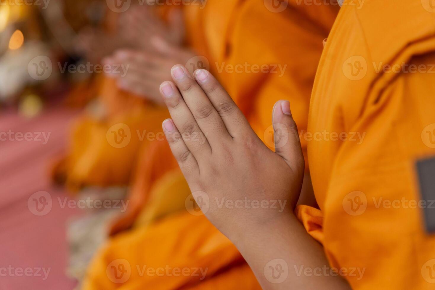 In the morning the monks walk for alms with the Buddhists, offering food to the monks with devotion. photo