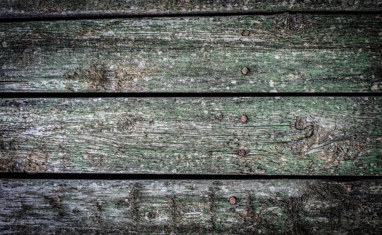 the texture of an old horizontal wooden shield photo