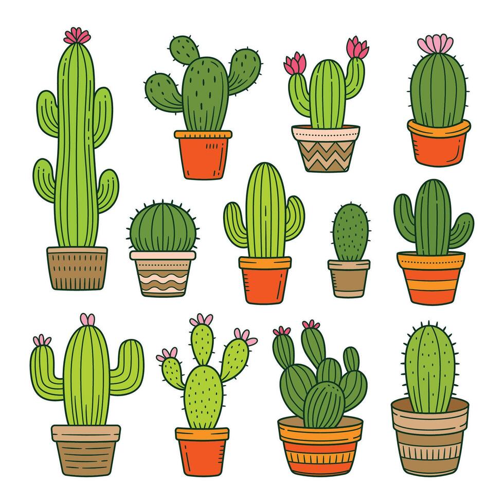 Cactus plant objects hand drawn doodle object illustration vector