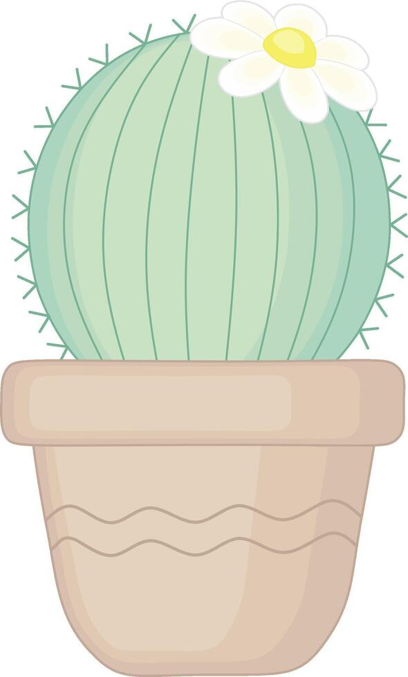 Green Cactus With White Flower. House Plant vector