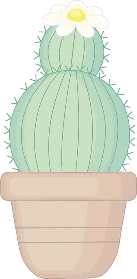 Green Cactus With White Flower in Pot Illustration vector