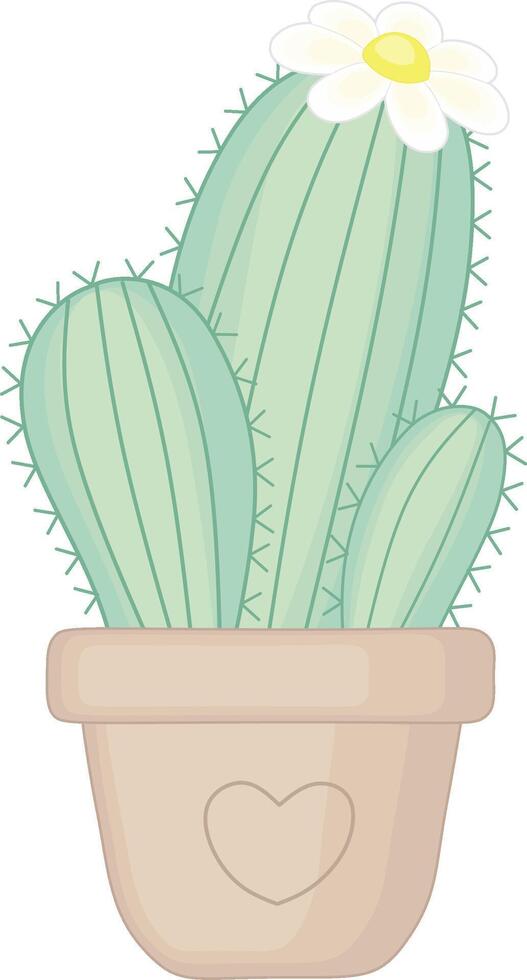 Green Cactus With White Flower. Decorative House Plant vector