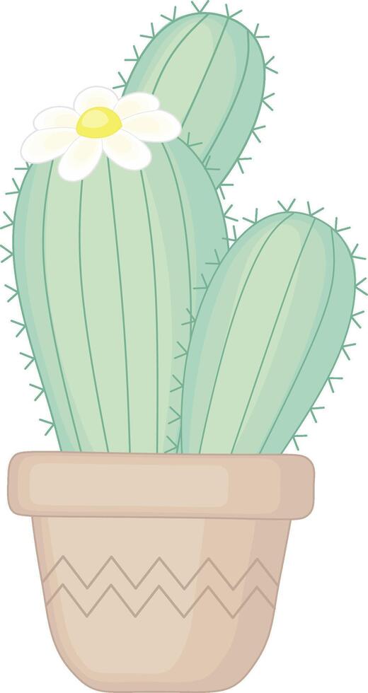 Green Cactus With White Flower vector