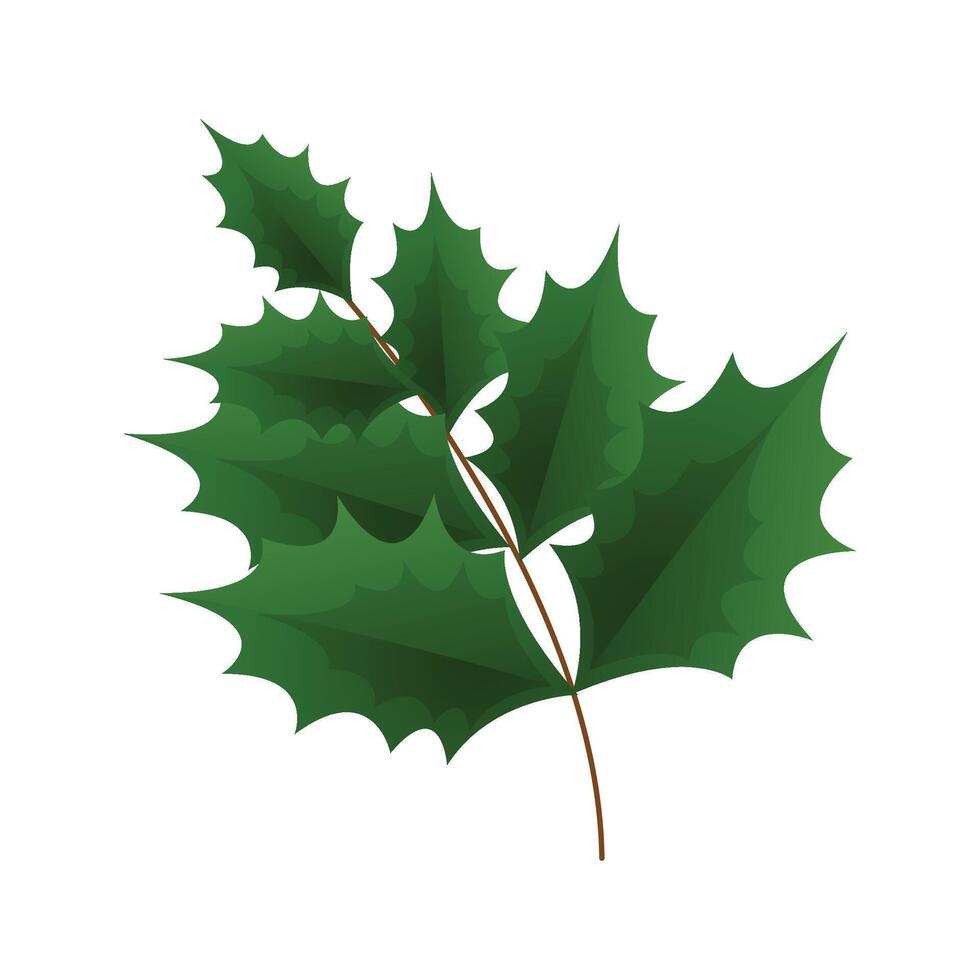 Branch of mistletoe illustration on white background vector
