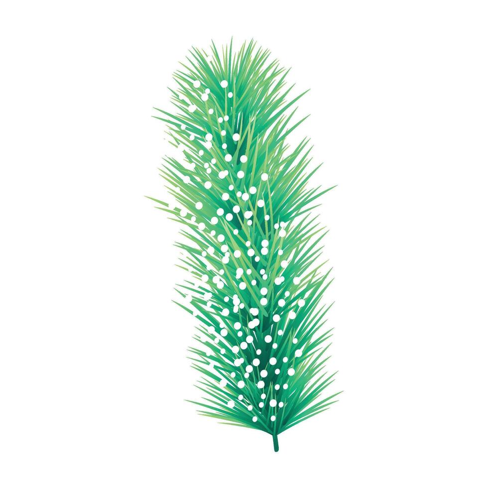 pine trees branche illustration on white vector