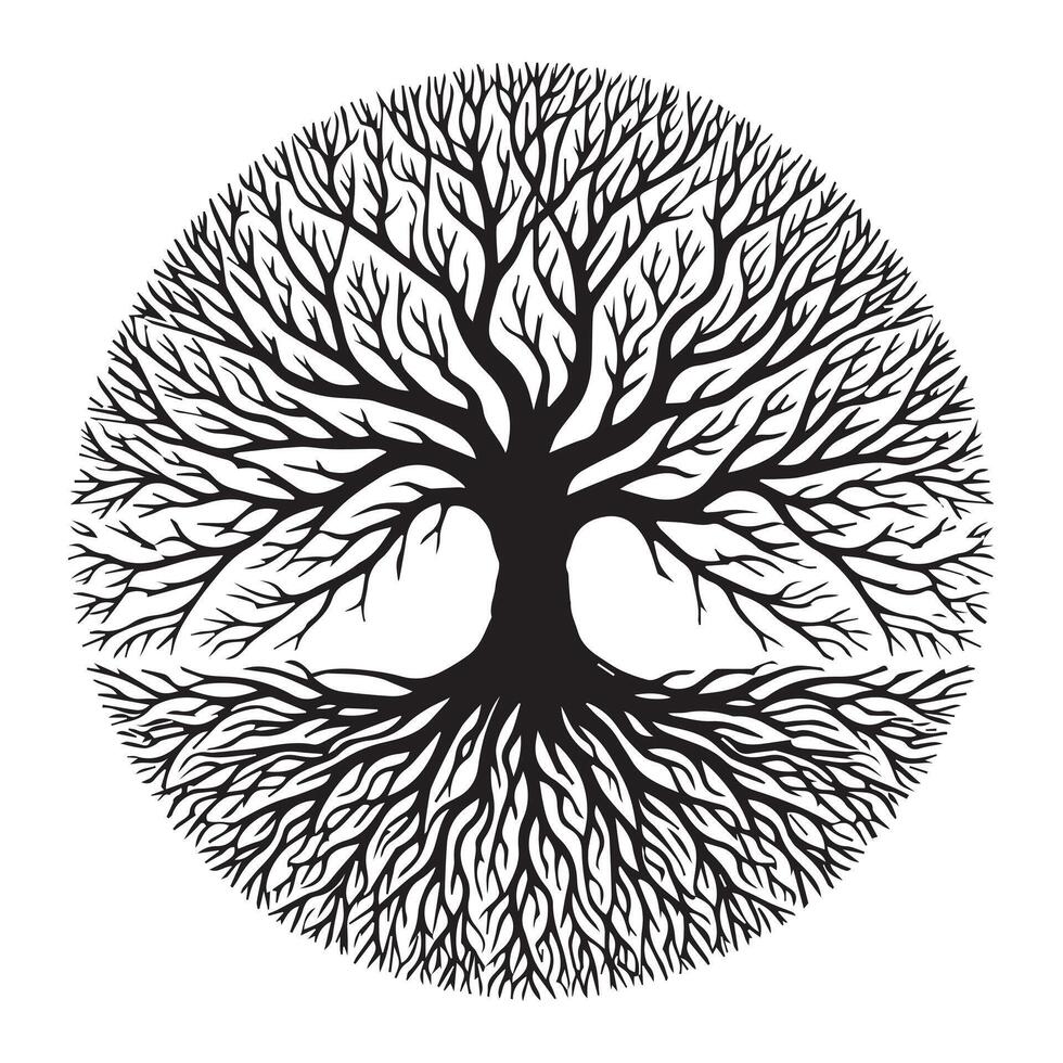 Celtic Spiral Tree of Life Design vector