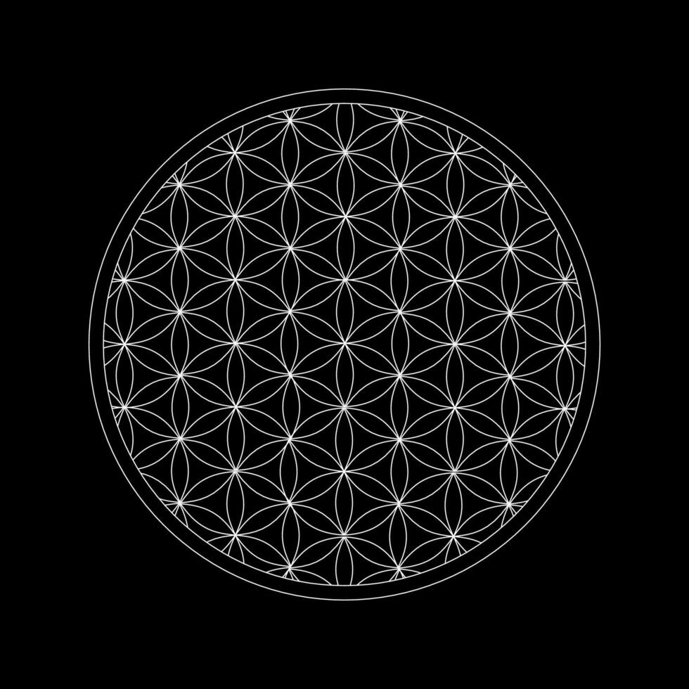 The flower of life is shown on a black background vector
