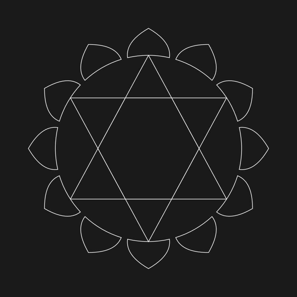 The sri chakra symbol, a symbol of the chakra system vector