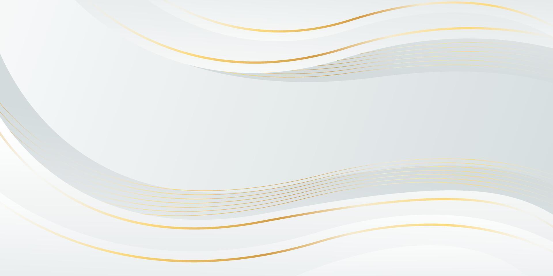 Abstract white-gray luxury wave background. Creative wallpaper with gold lines vector