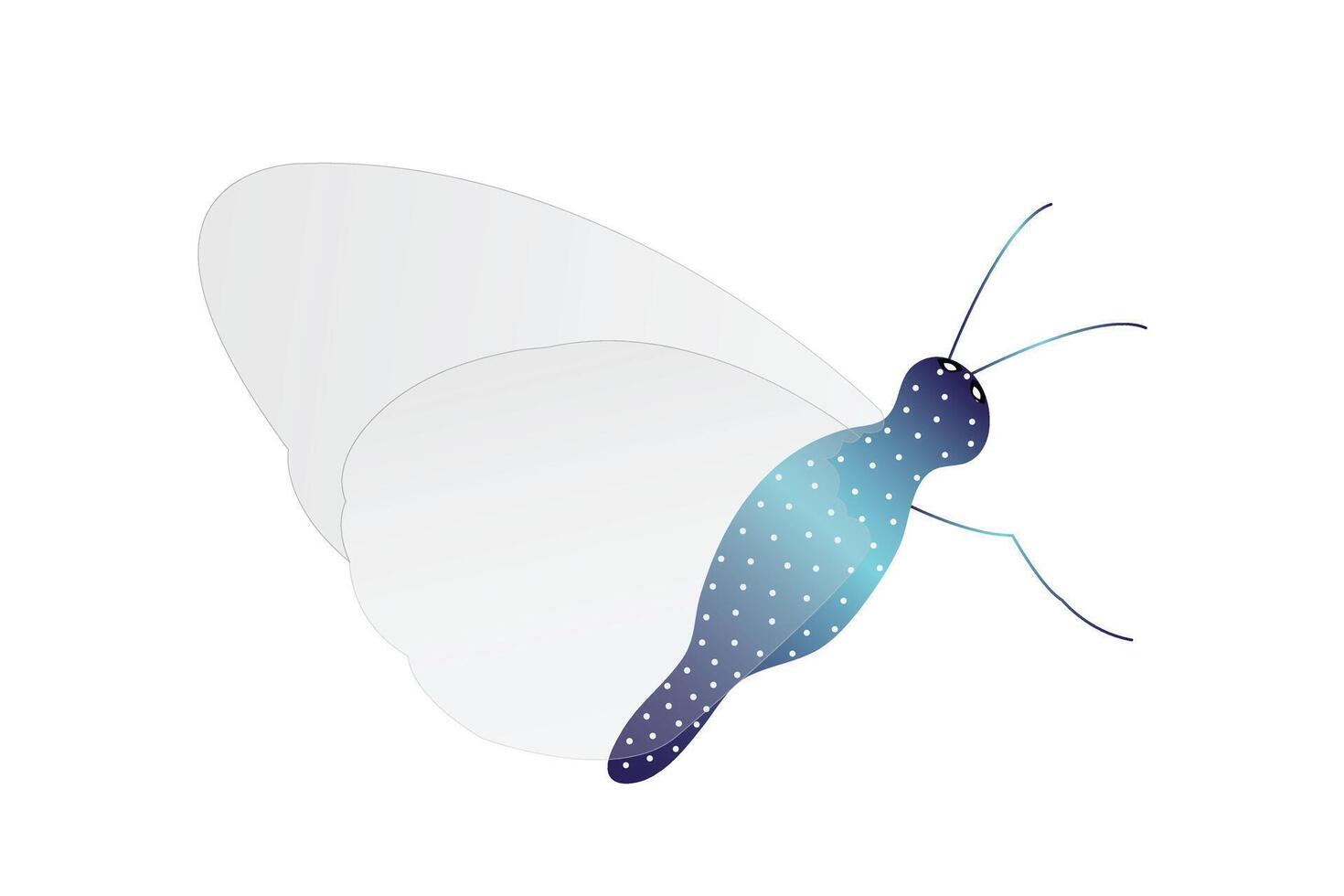 Glass butterfly effect on white background. vector