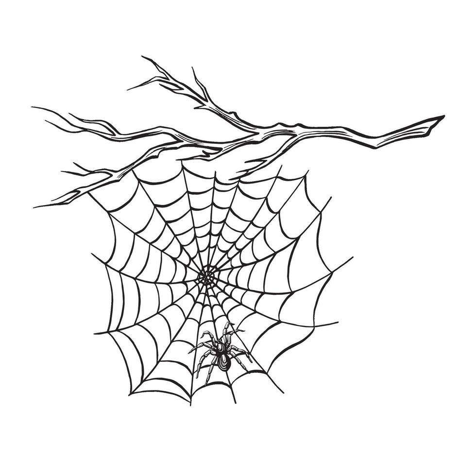 Spider with web on the bare tree branch. Line sketch. Spooky trap of insect thread. graphic illustration, hand drawn isolate. Black and white animal in the nature. Clipart for postcard, print. vector