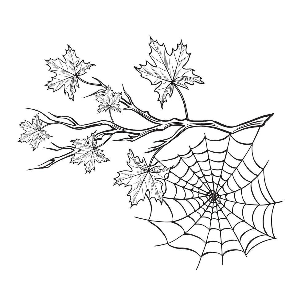 Forest fall composition sketch. Spider web on maple leaves branch. Foliage composition. graphic line illustration, hand drawn isolated. Black and white spooky trap. Clipart for card, sticker. vector