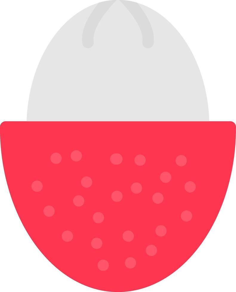 Lychee Flat Icon vector